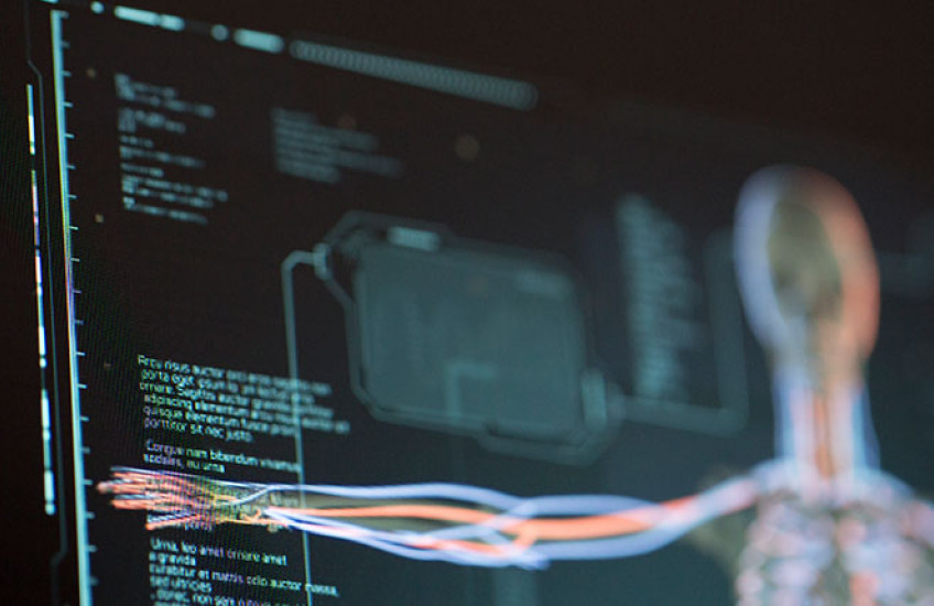 Computer screen with a digital image of a human skeleton 