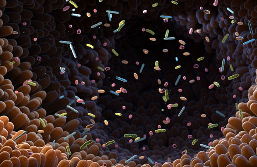 Illustration of intestinal bacteria in the gut microbiome
