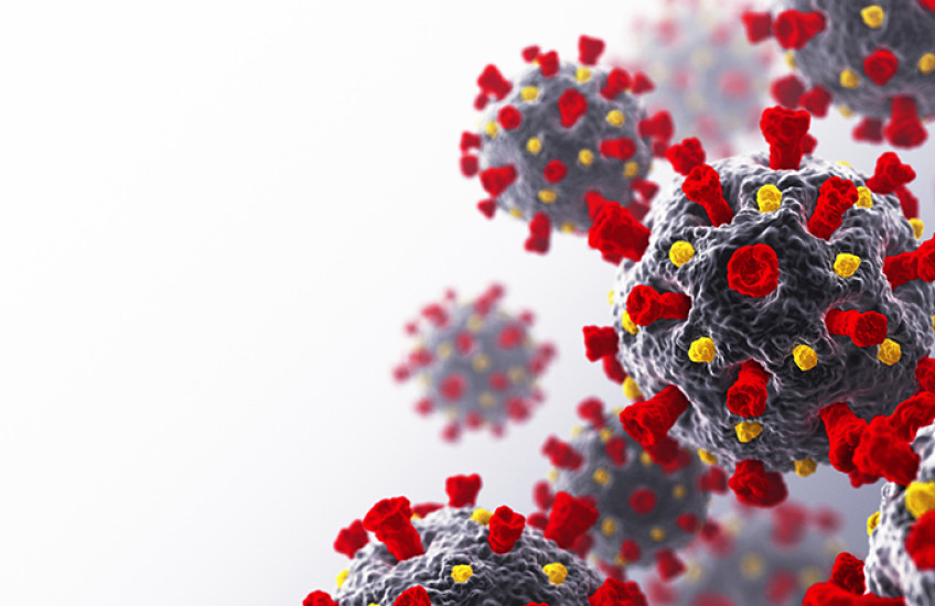 coronavirus