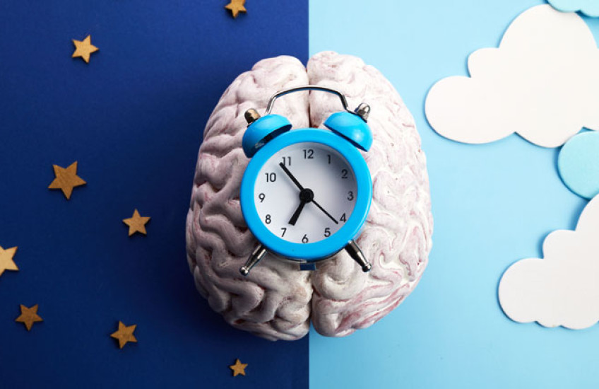 A stylized image of a brain under an alarm clock on a background that is half day and half night