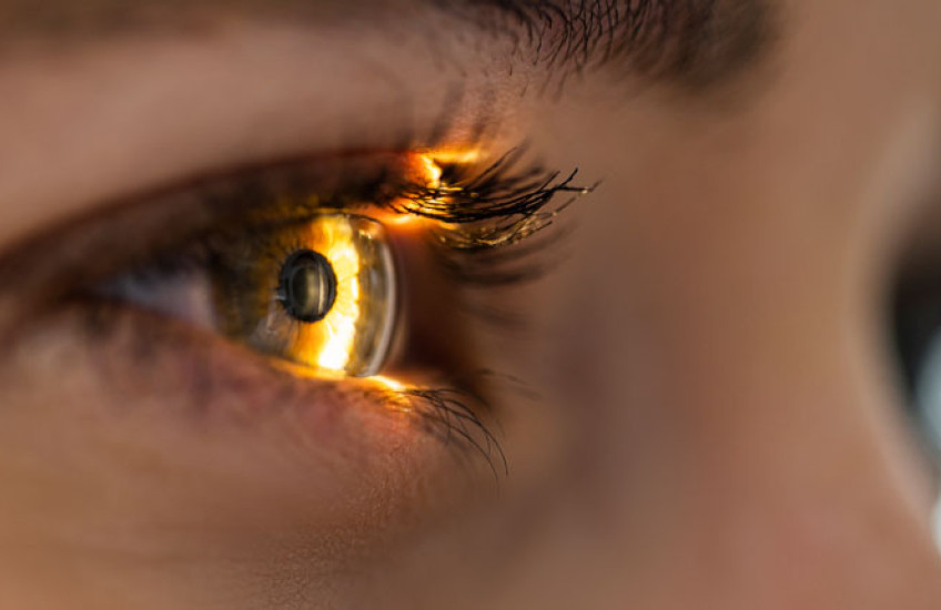 A close up of a human eye