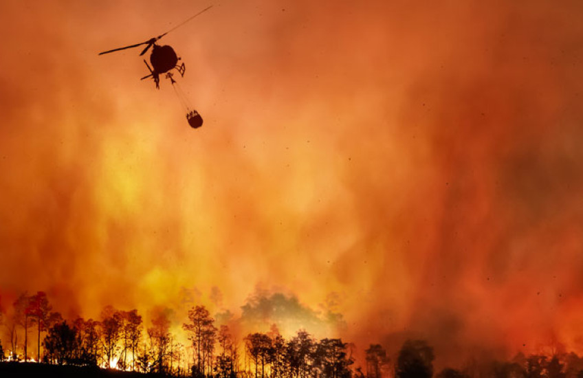 Photo of helicopter dousing large CA forest fire with bucket of water