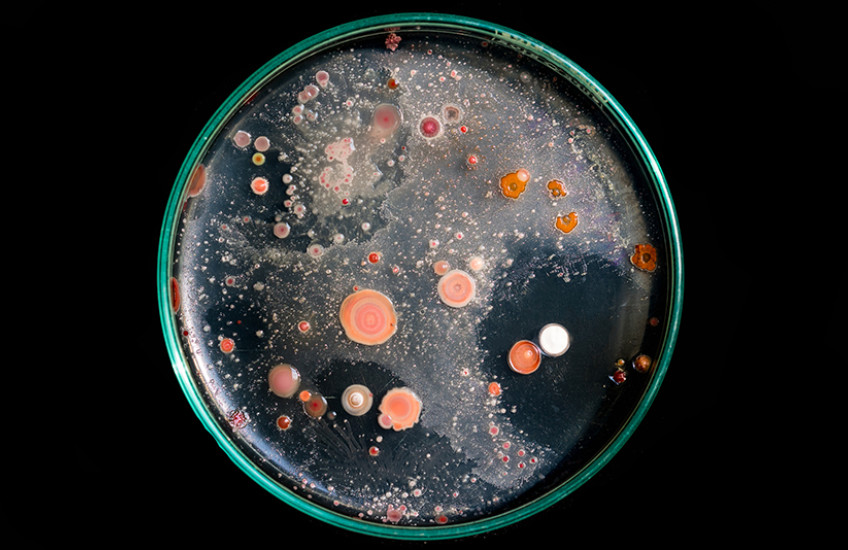 microorganisms
