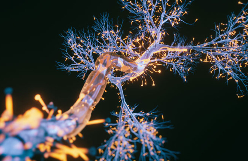 Neuron cell close-up view - 3d rendered image of Neuron cell on black background. SEM view interconnected neurons synapses. Abstract structure conceptual medical image. Synapse. Healthcare concept.