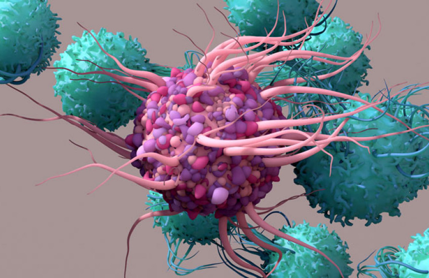 Illustration of a T cell 
