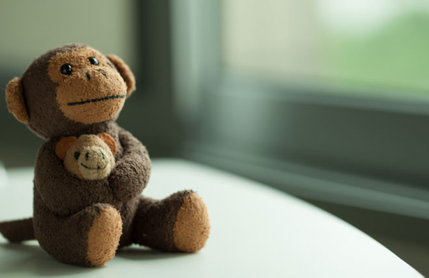 Photo of toy monkey holding a baby toy monkey