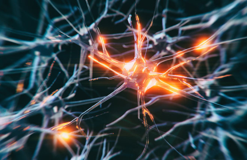 A close up of a network of dark blue neurons on a black background, with spots of glowing orange