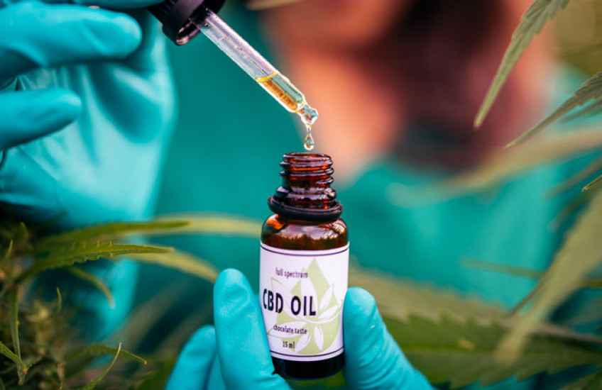 An out-of-focus person surrounded by cannabis plants droppers CBD oil into a small bottle