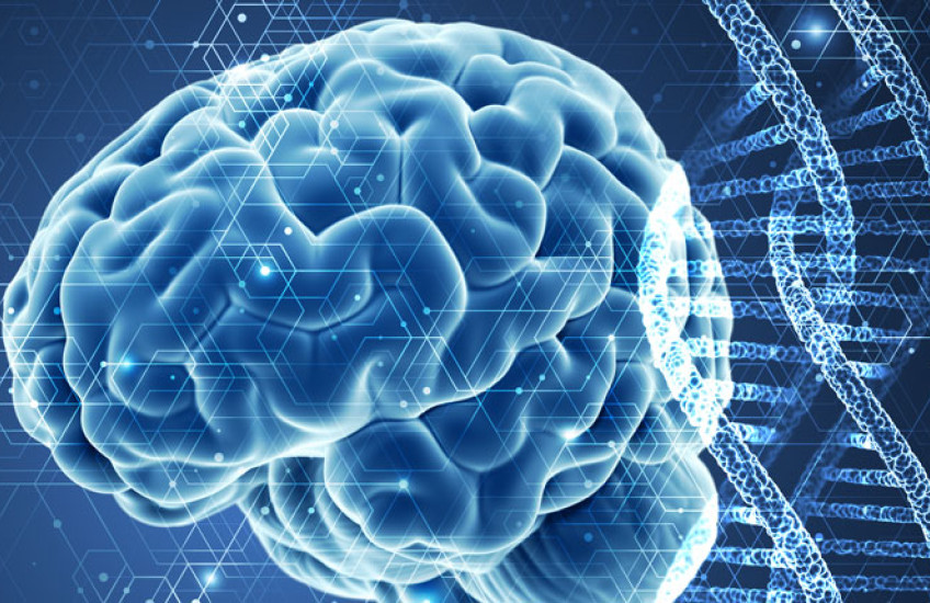 A stylized blue image of a human brain next to a vertical DNA double helix