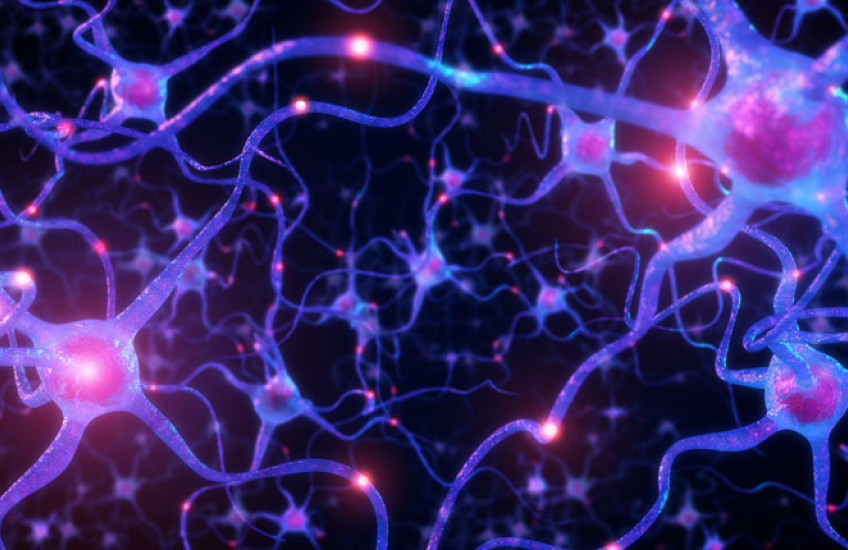 A purple network of neurons lit up in different spots