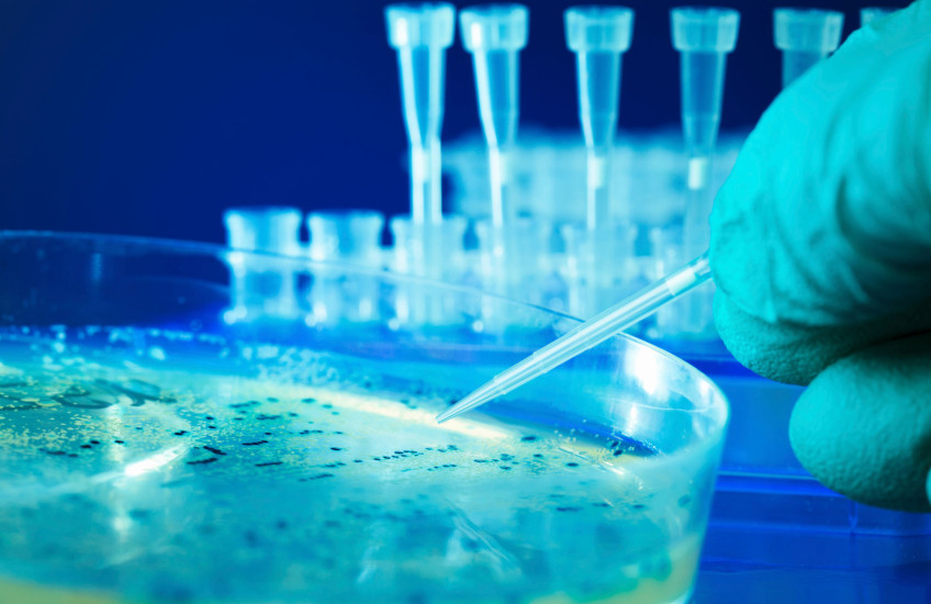 Stock image of a gloved hand working with a Petri dish, with test tubes in the background