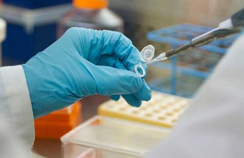 Gloved hand using pipette 