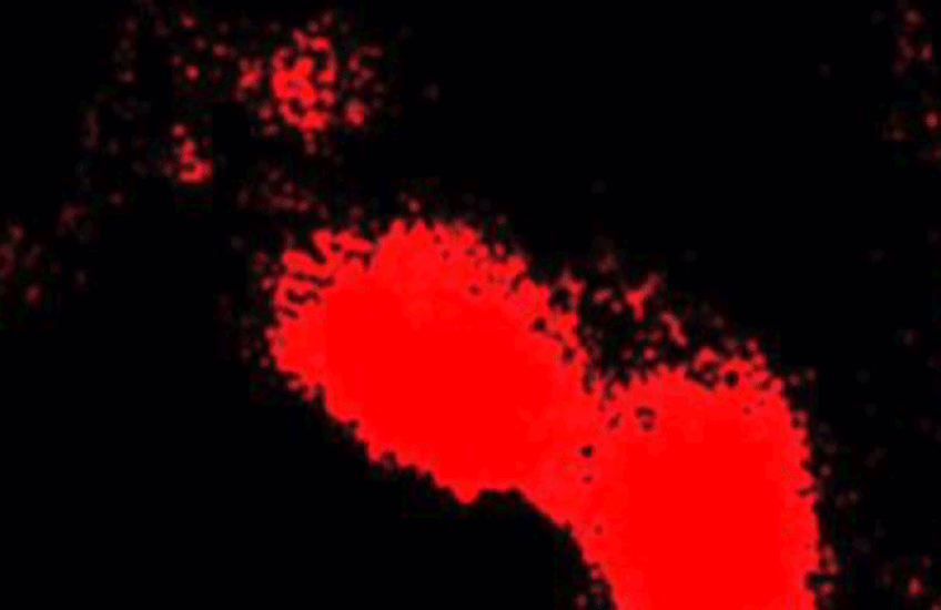 Red patches appearing and disappearing sporadically on a black background