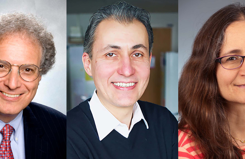 HMS researchers Joseph Bonventre, Dan Duda, and Paula Watnick