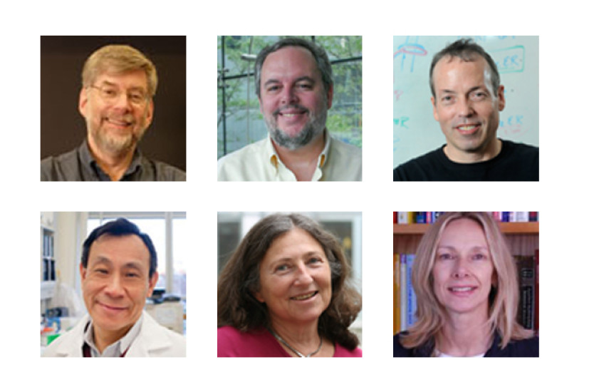 cohen, elledge, ginty, king, lieberman, normand