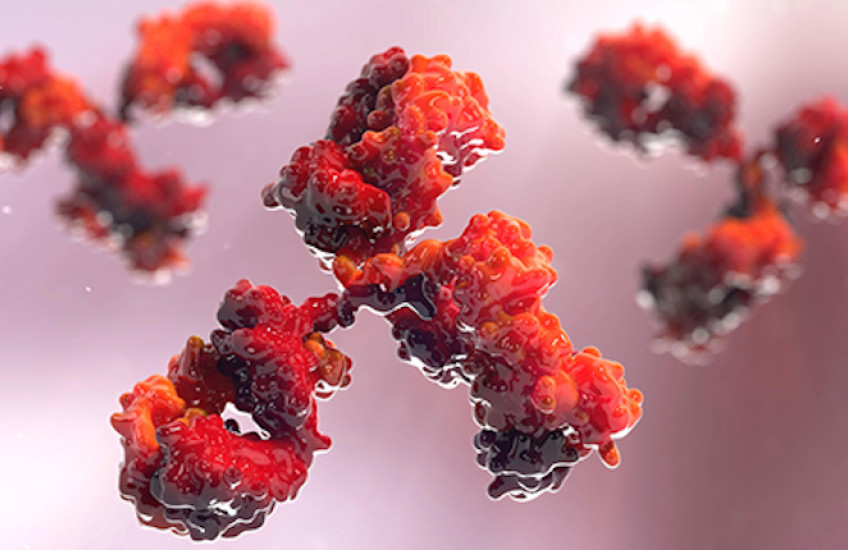 Amping Up Antibodies