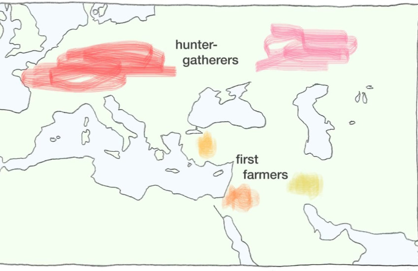 Genetic analyses reveal a collection of highly distinct groups in the Near East and Europe at the dawn of agriculture. These groups mixed and migrated to form the relatively homogeneous populations seen in the region today. Animation: Rick Groleau