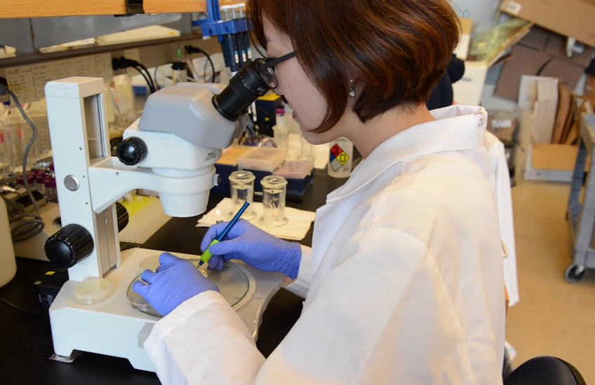 A girl in a lab