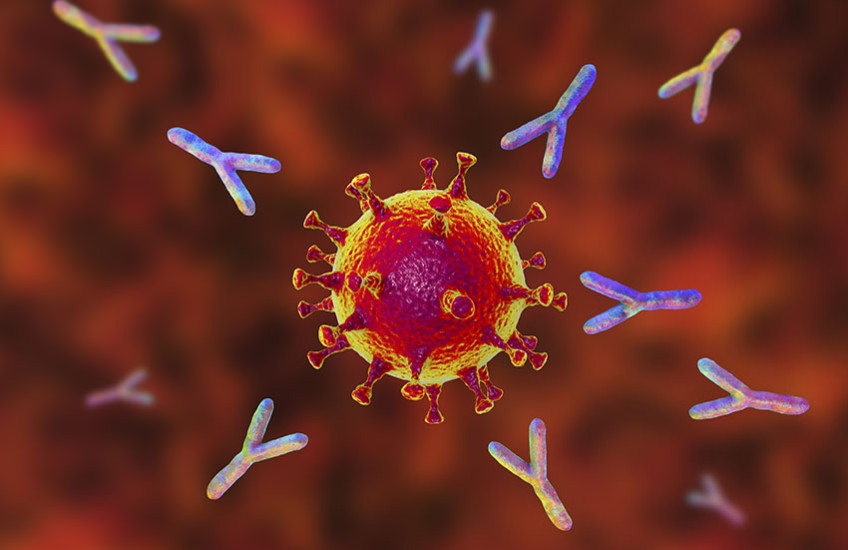 artistic rendering of a covid antibody