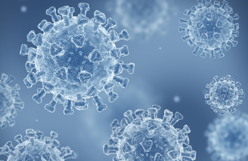 Translucent, spike-covered spheres against an icy blue background