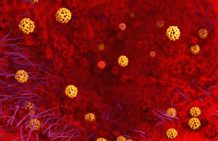 Illustration of the coronavirus in the lungs 