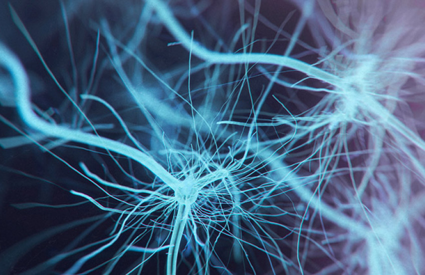 neuron system