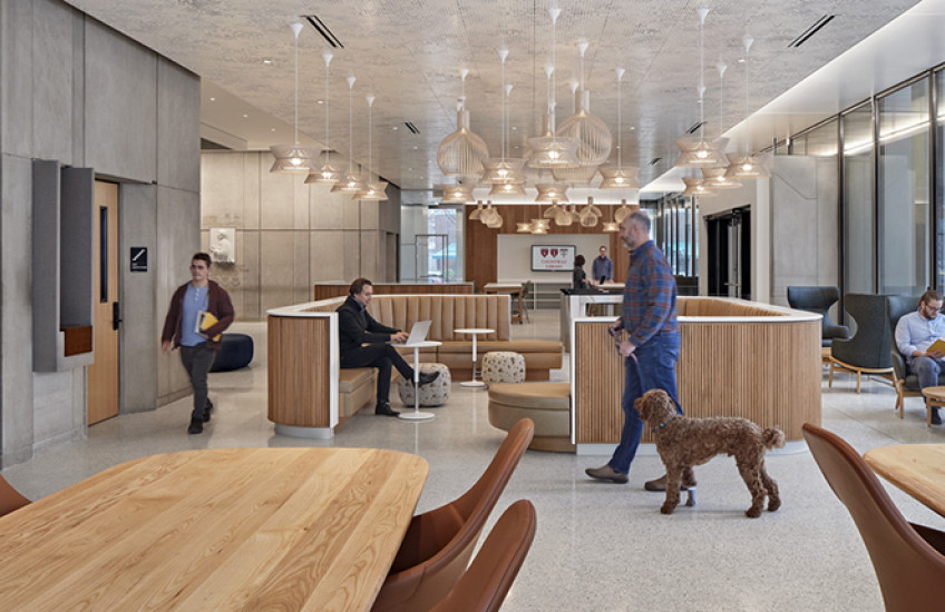 Countway Library. Image: Robert Benson Photography