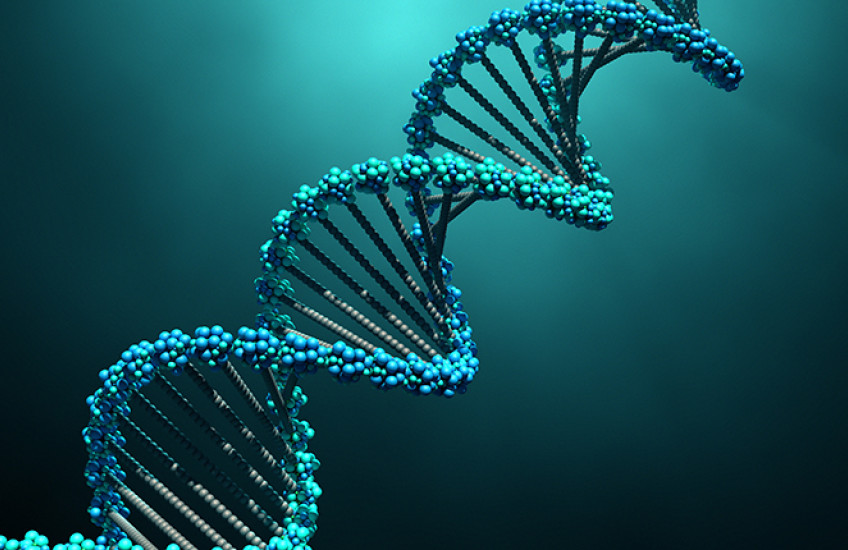 DNA structure 