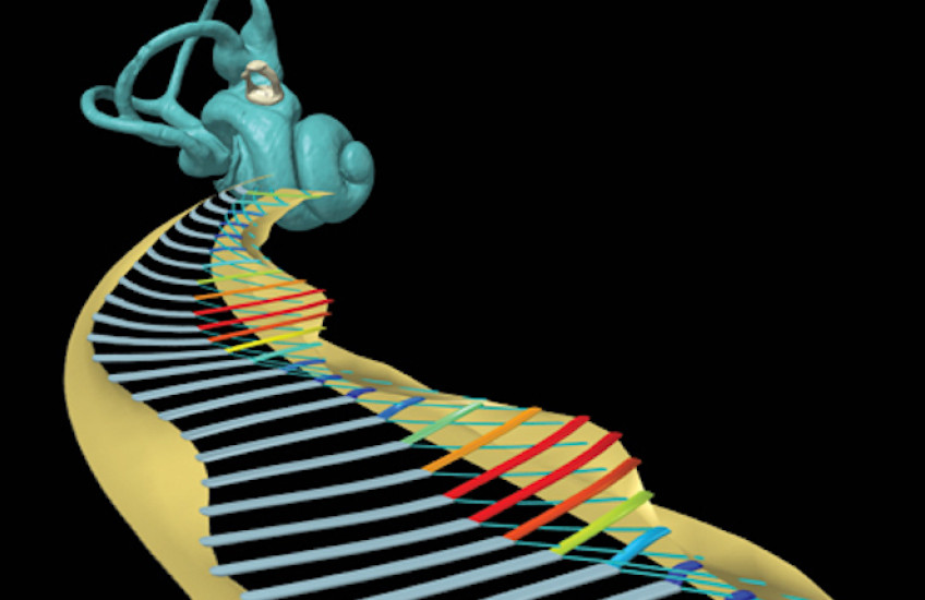 Function Follows Form