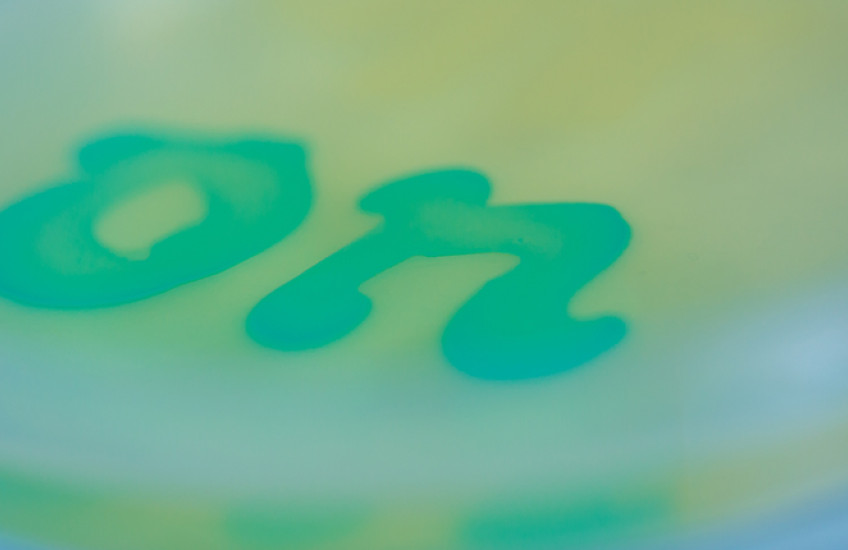 the word on in petri dish