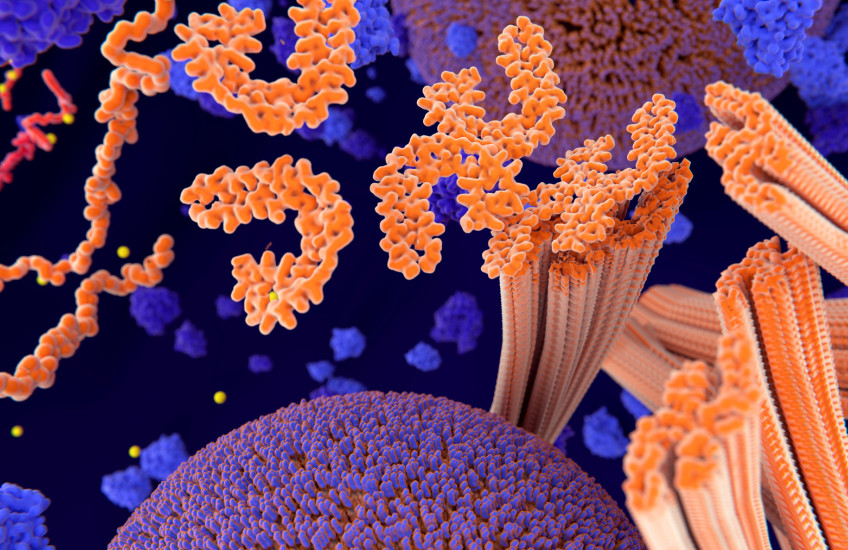 Stylized representation of phosphorylation of tau proteins