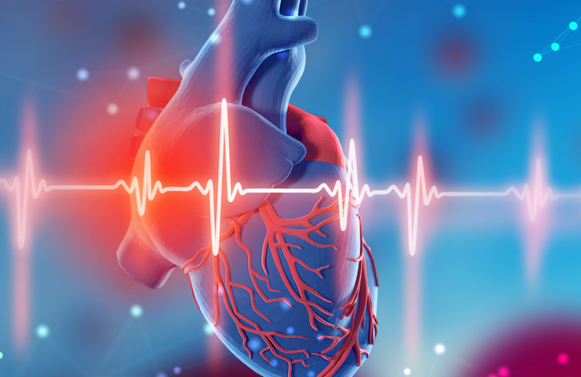 illustration of human heart with electrocardiogram readout