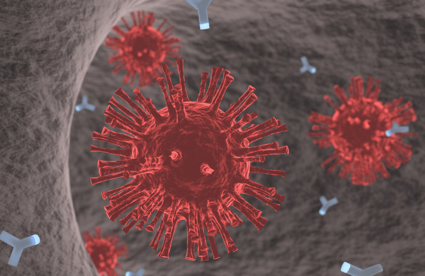 Illustration of coronavirus with antibodies circling it
