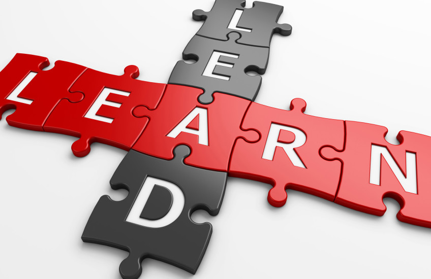 Red and black puzzle pieces spelling out lead and learn