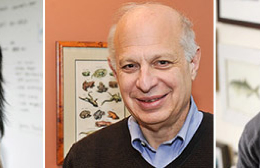 Gu, Kirschner, Weinstock