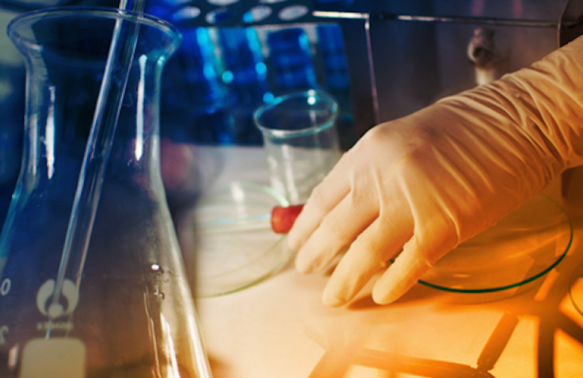 HMS Students Receive HHMI Fellowships