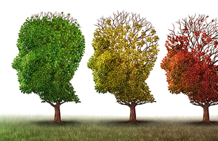 Introducing the Genosenium