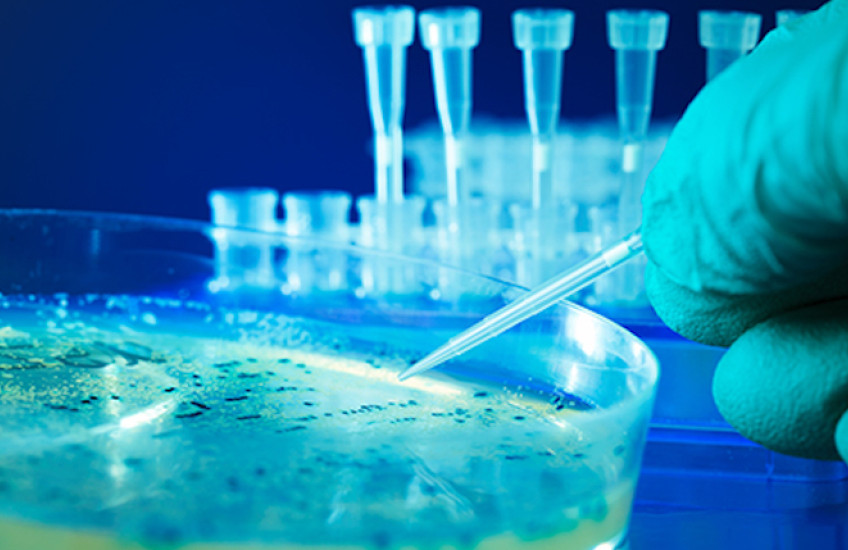 Microbial Murder Mystery Solved