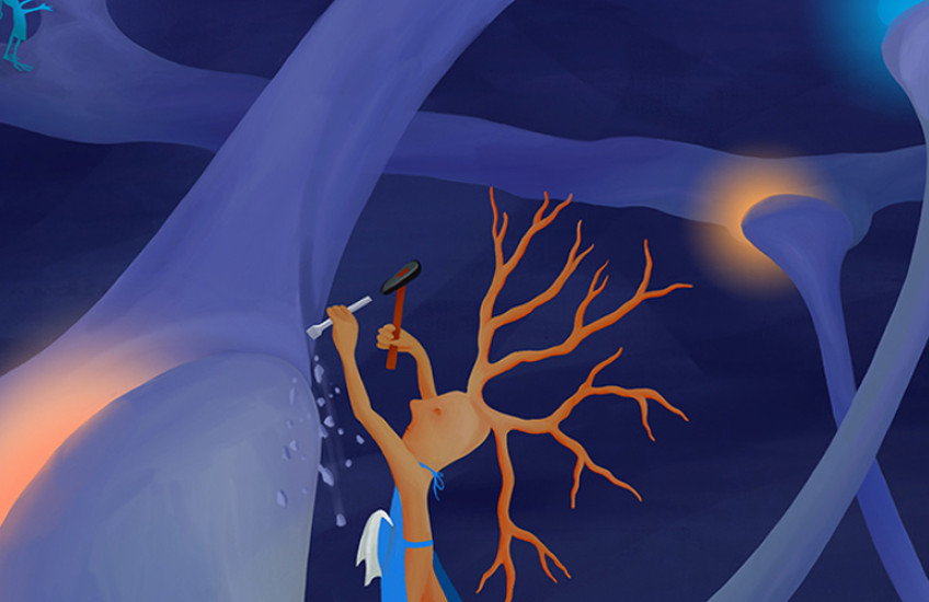 Microglia sculpting a neuron