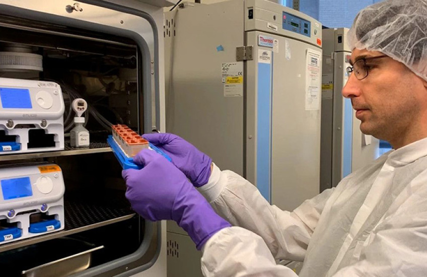 Researcher examines organ on chip