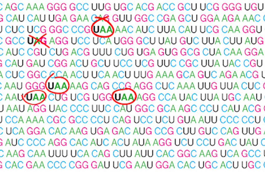 Proofreading Proteins
