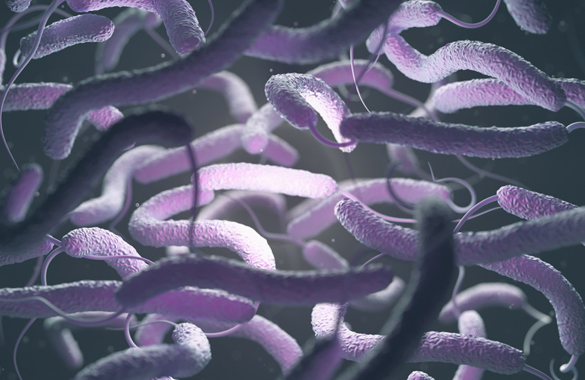 A swarm of purple, rod-shaped single-celled organisms with whiplike tails moving through shadow and light.