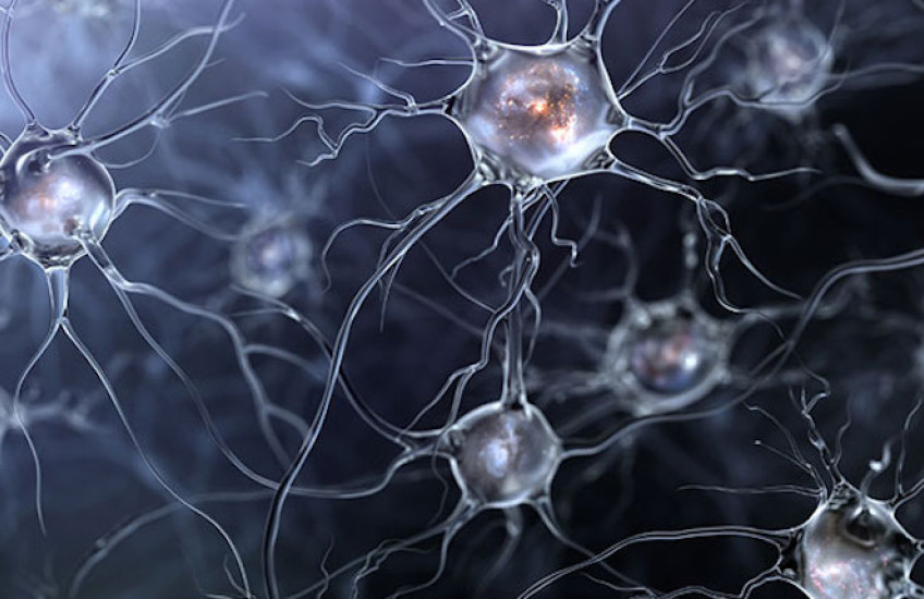 Secrets of Secretion