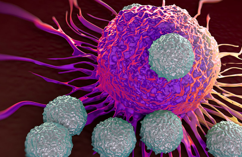 Colorful digital illustration showing T cells attacking a cancer cell