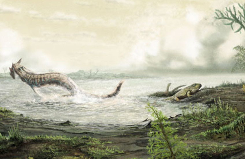 The Prehistory of Antibiotic Resistance