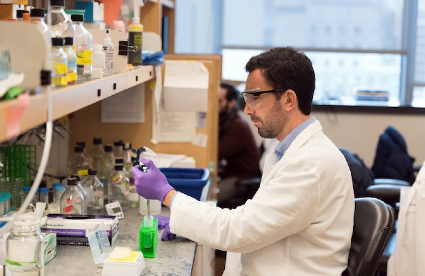 Scientist uses pipette at lab bench