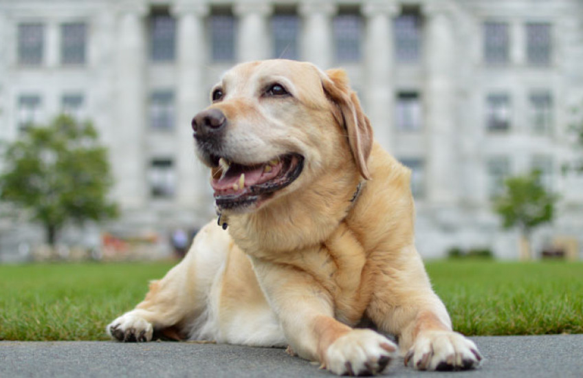 Warren on the Quad. Image: Samuel McCutcheon