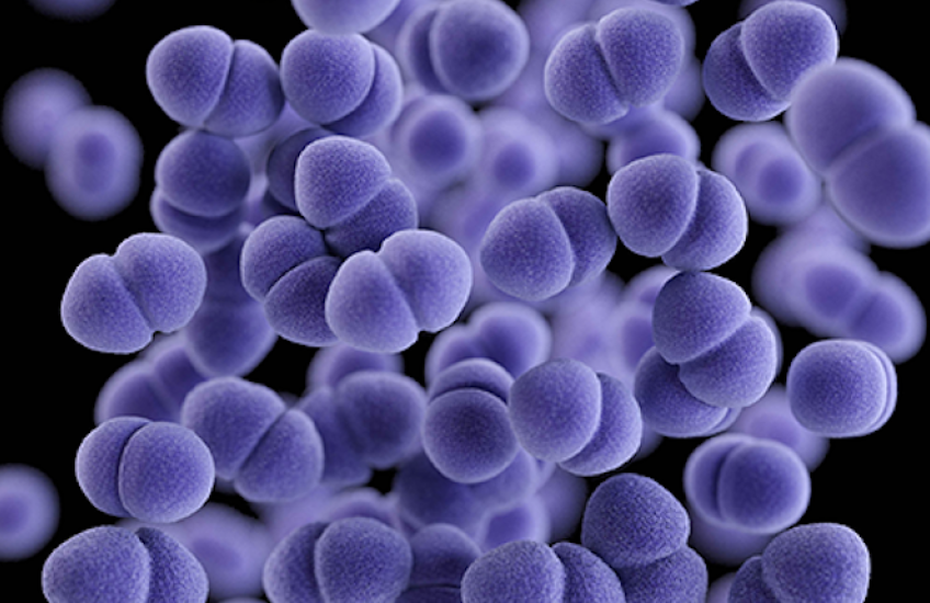 Where No Botulinum Toxin Has Gone Before