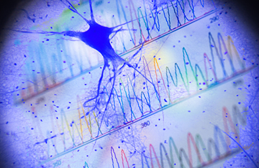 Written History of Neuron