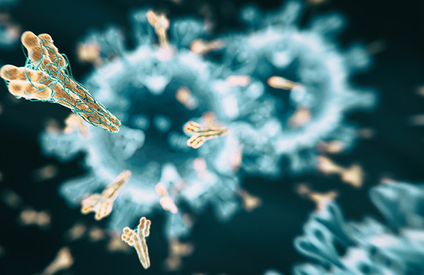 digital image of coronavirus with antibodies